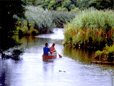 canoe on Carmans River